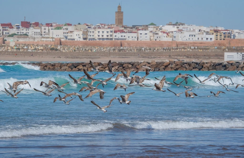 Les Marocains accueillent le ramadan «avec résilience»