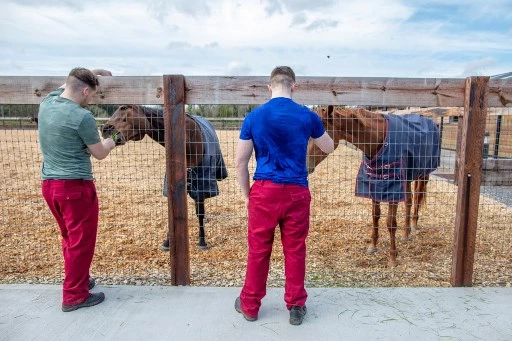 Des prisonniers nourrissent deux chevaux au centre équin «Horses for Hope» de la prison de Castlerea, à Co Roscommon en Irlande, le 20 avril 2022 dans le cadre d'un nouveau programme visant à enseigner aux condamnés la compassion et les compétences pratiques par le travail avec les chevaux. (Paul Foi / AFP)