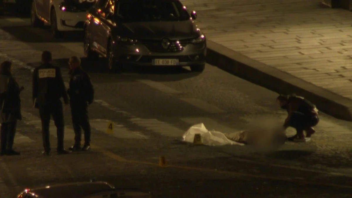 Hommes tués sur le Pont-Neuf à Paris: le policier mis en examen pour «homicide volontaire»
