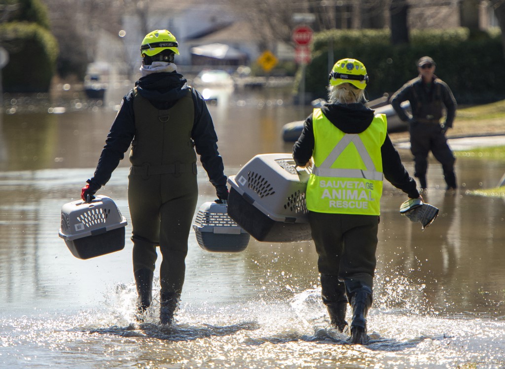 Canada: quatre morts et 900 000 foyers sans courant après des orages