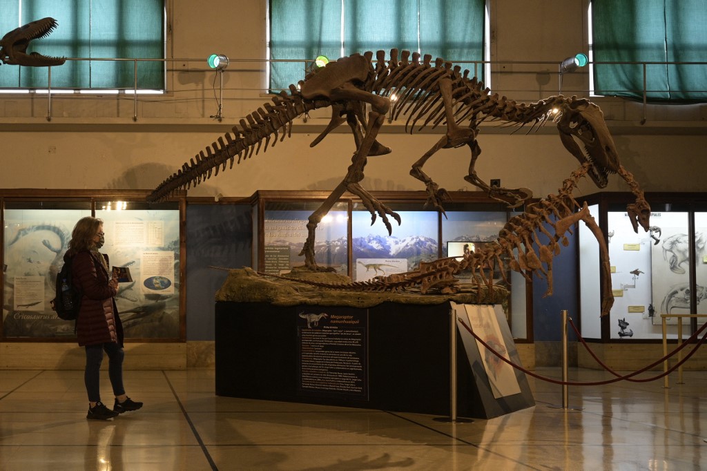 «Ombre de la mort»: en Argentine, un dinosaure prédateur livre quelques secrets