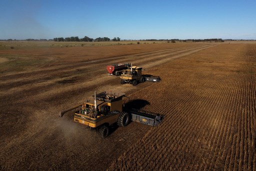 Soja argentin: l'effet Ukraine, ou le retour de «l'or vert»