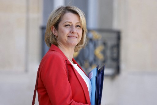 Le camp Macron investit les ministres Pompili et Moreno pour les législatives