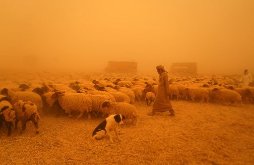 En images: Scènes apocalyptiques alors qu'une tempête de poussière balaie le Moyen-Orient