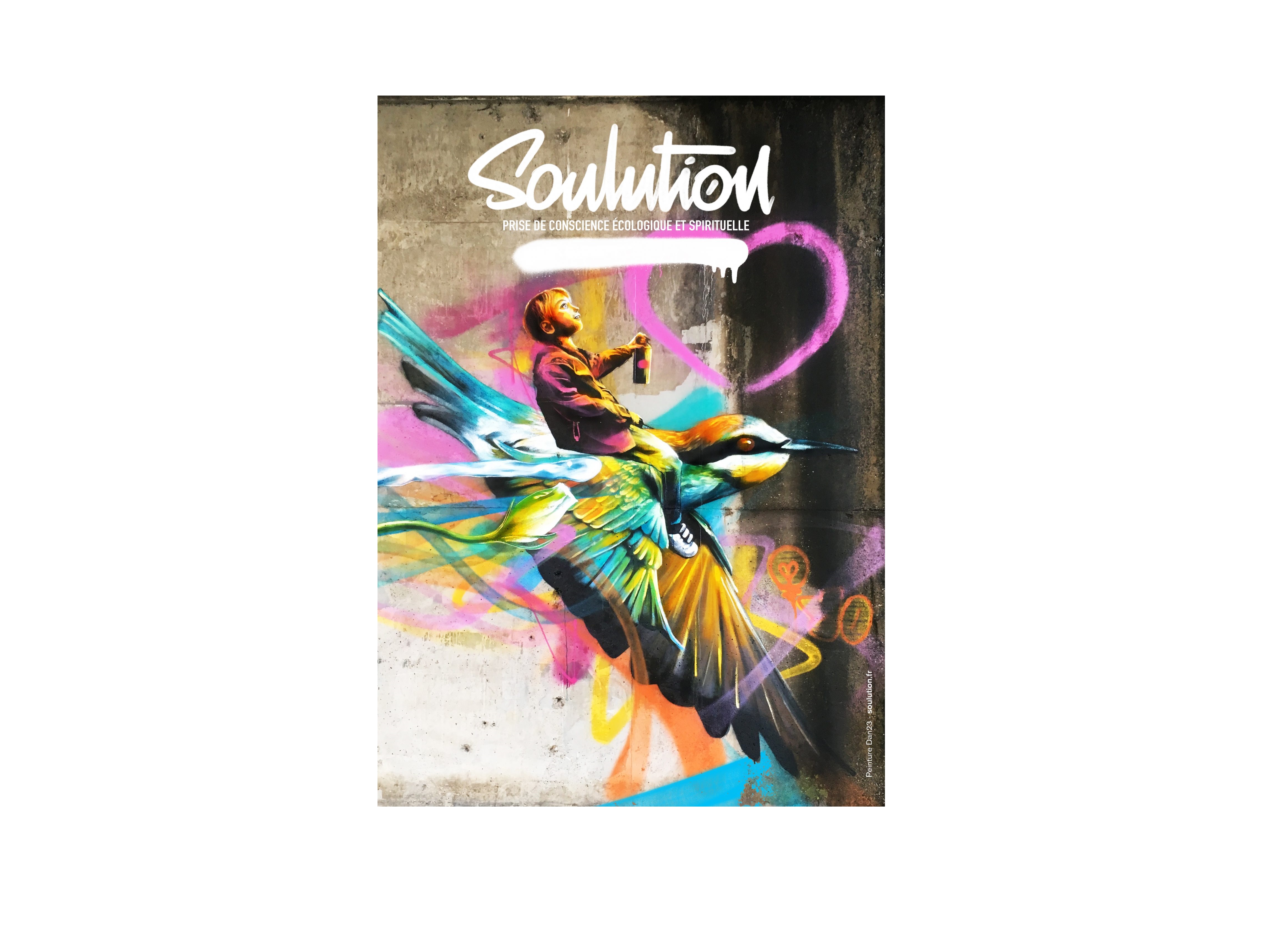 «Solution» de l’artiste Dan23