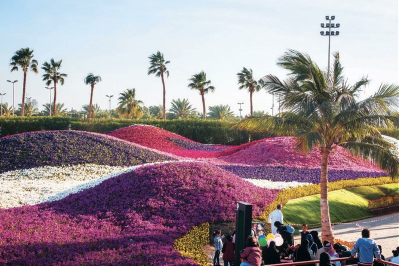 Yanbu, sur la mer Rouge, est en passe de devenir l'une des destinations phares de l'Arabie saoudite