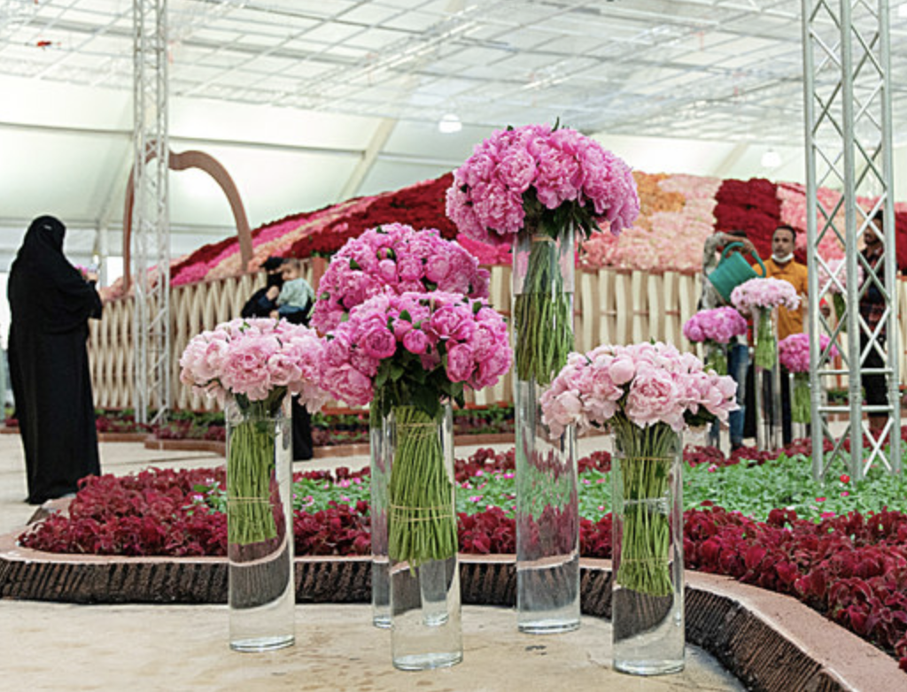Le festival des roses de Taïf, une expérience visuelle et olfactive intense