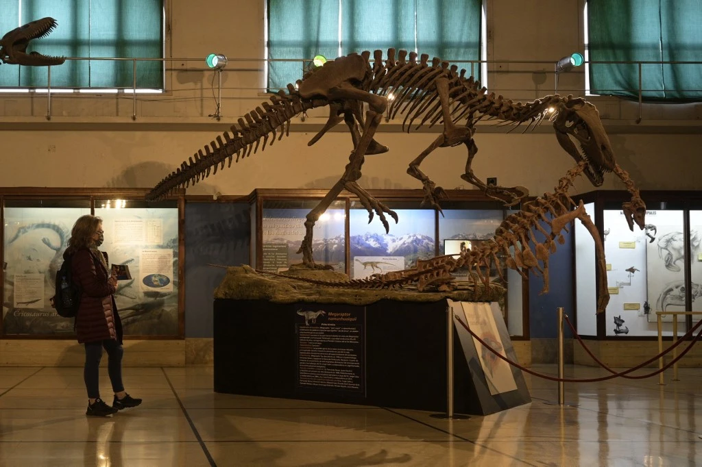 «Ombre de la mort»: en Argentine, un dinosaure prédateur livre quelques secrets