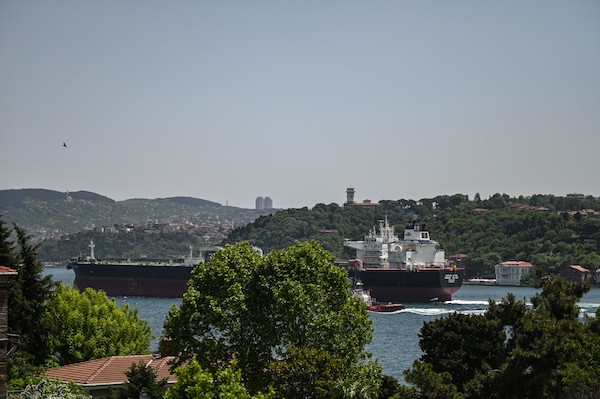Parmi les hautes silhouettes remontant le Bosphore, au cœur d'Istanbul, des navires commerciaux immatriculés en Russie vont et viennent dans les deux directions. Aux portes de la mer Noire, le commerce bat son plein. (AFP)