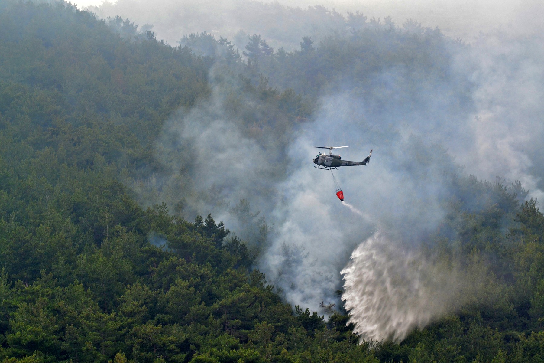 L'incendie dans la plus grande forêt de pins du Liban maîtrisé