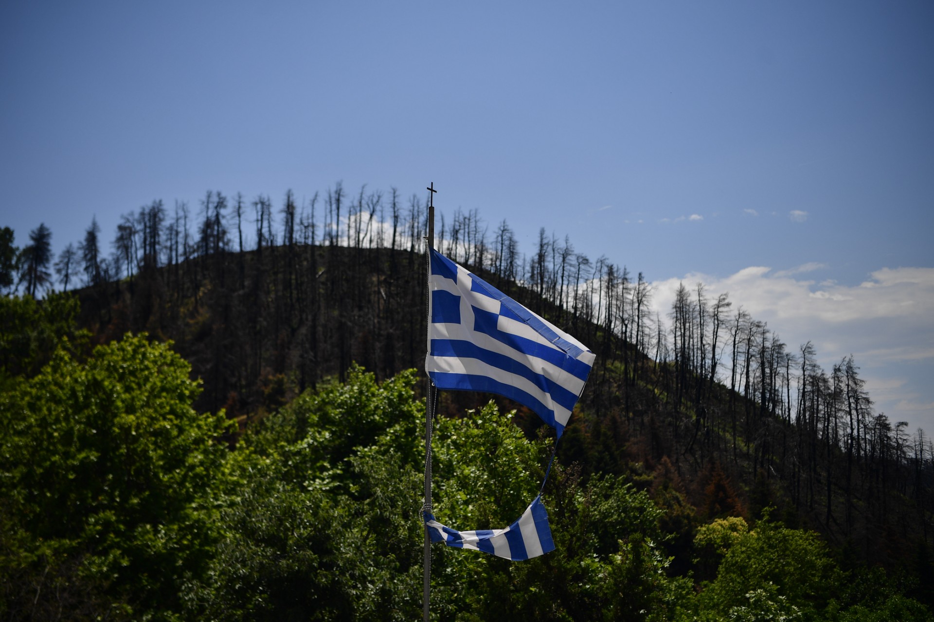 Un festival de cinéma vert à Eubée, un an après les incendies dévastateurs