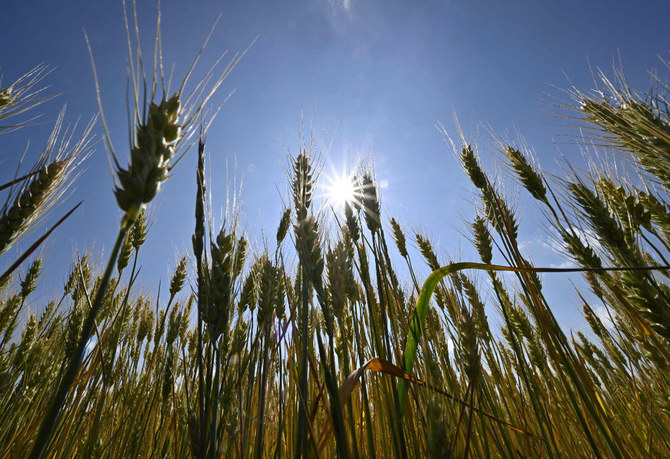 Ukraine: La confiance est essentielle pour la reprise des exportations de céréales