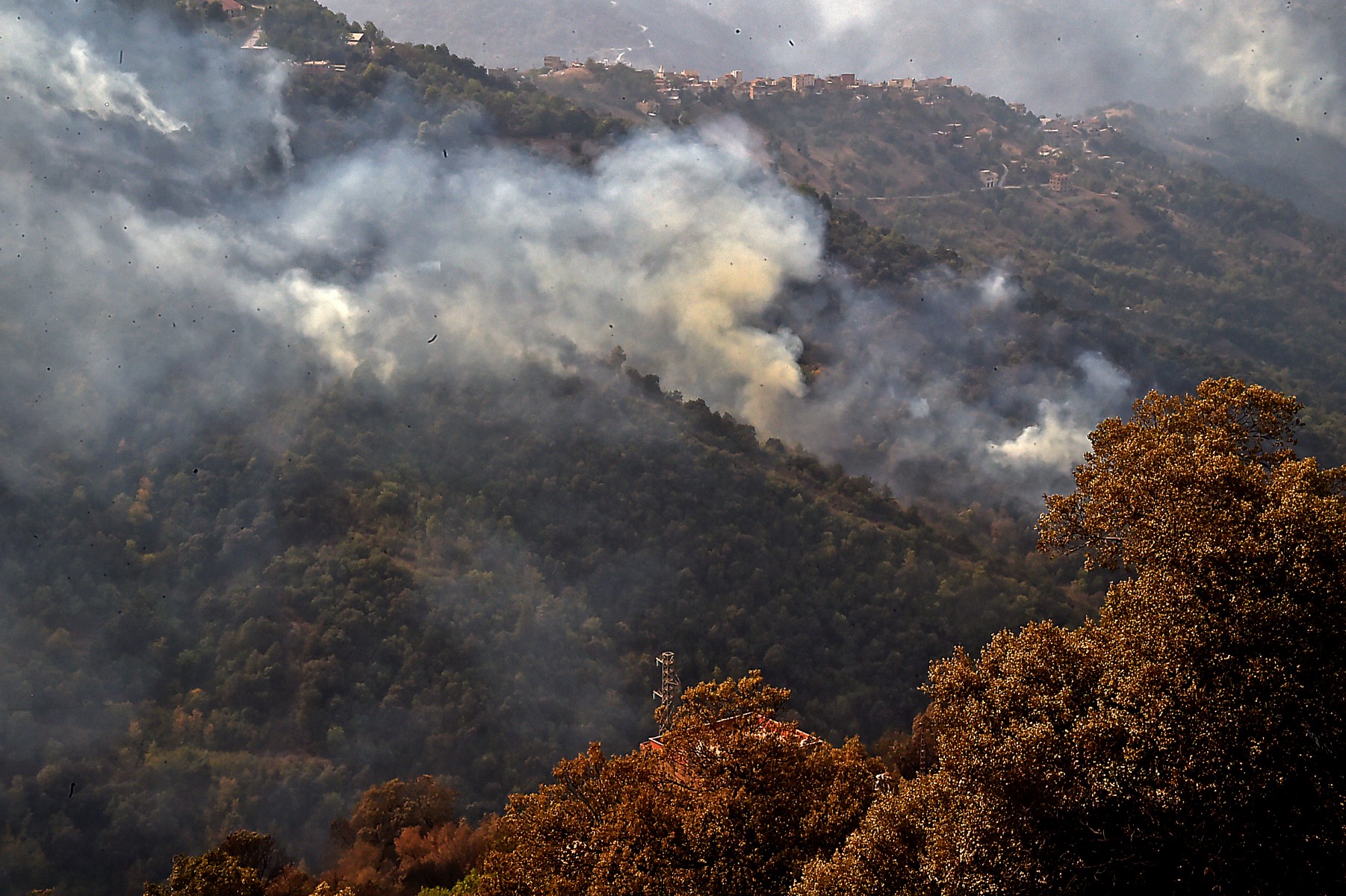Deux morts dans des feux de forêt en Algérie