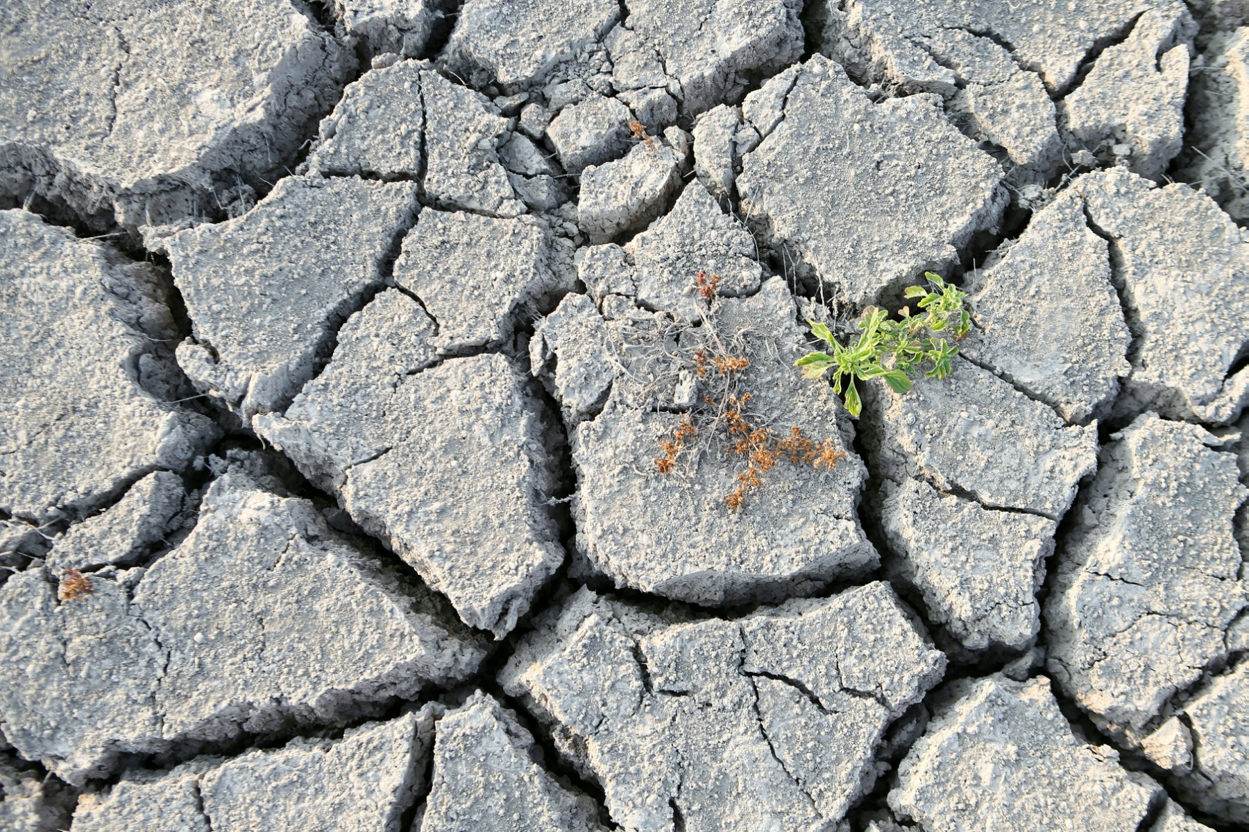 La Corse-du-Sud en «alerte sécheresse» avec restriction d'eau