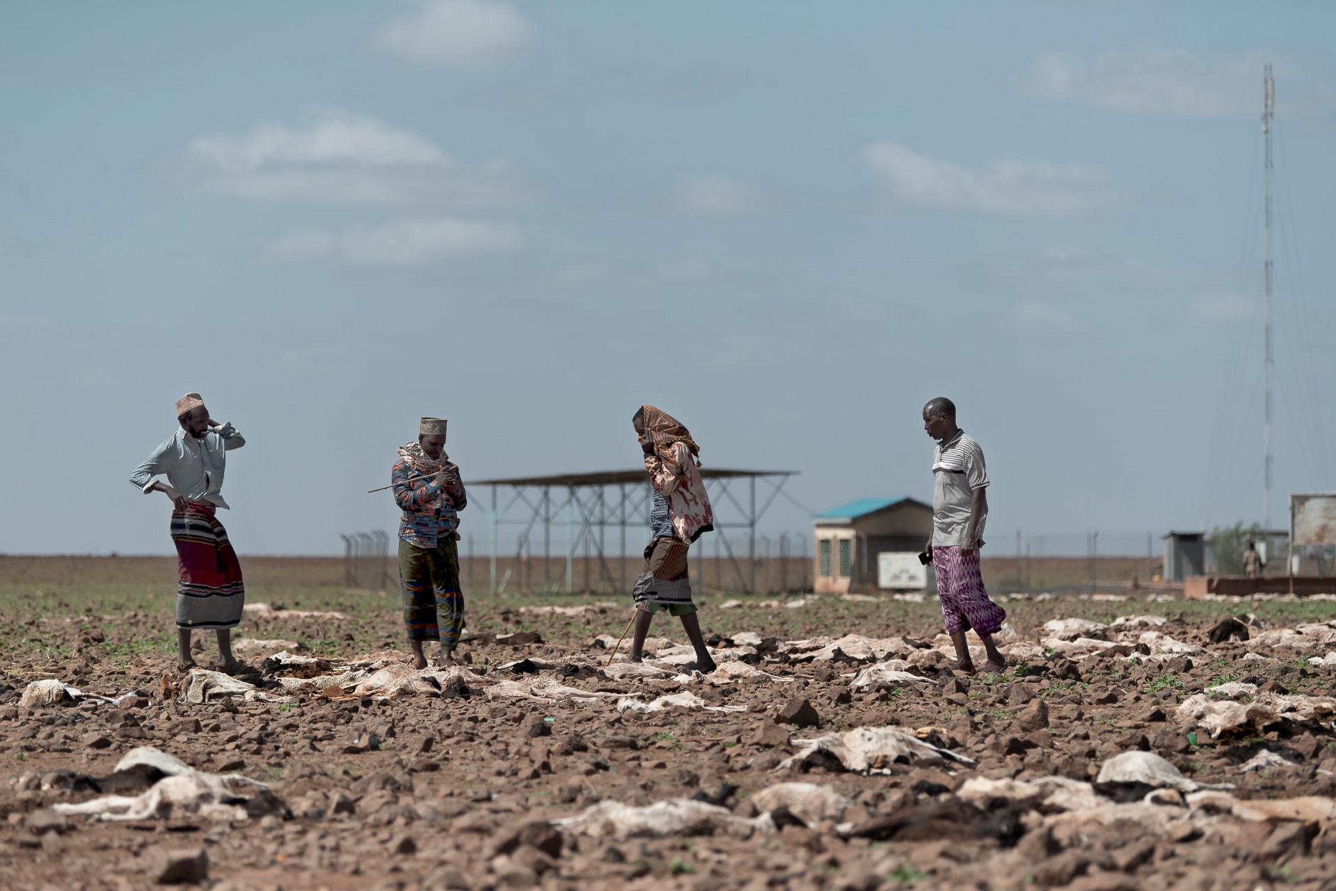 Climat: l'enjeu crucial du futur énergétique de l'Afrique