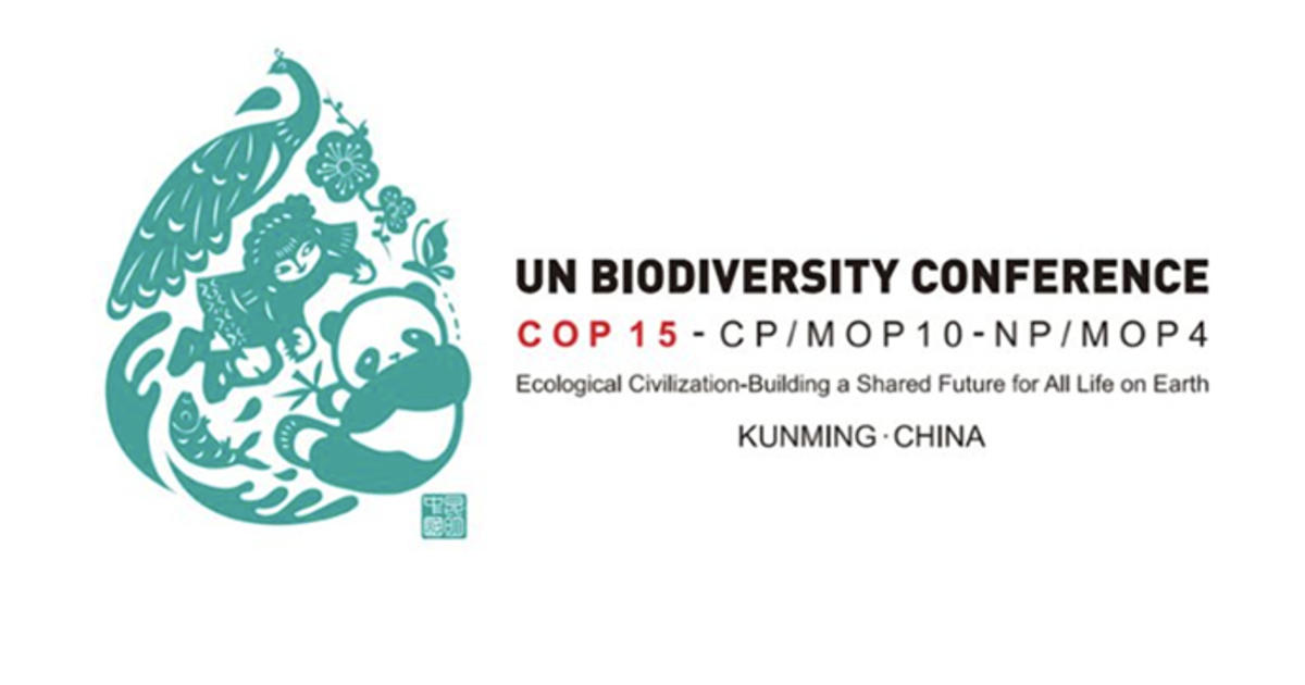 Biodiversité: dernière ligne droite avant la COP15