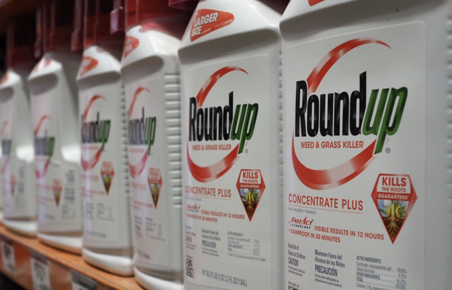 Désherbant Roundup: La Cour suprême américaine inflige un coup dur à Bayer