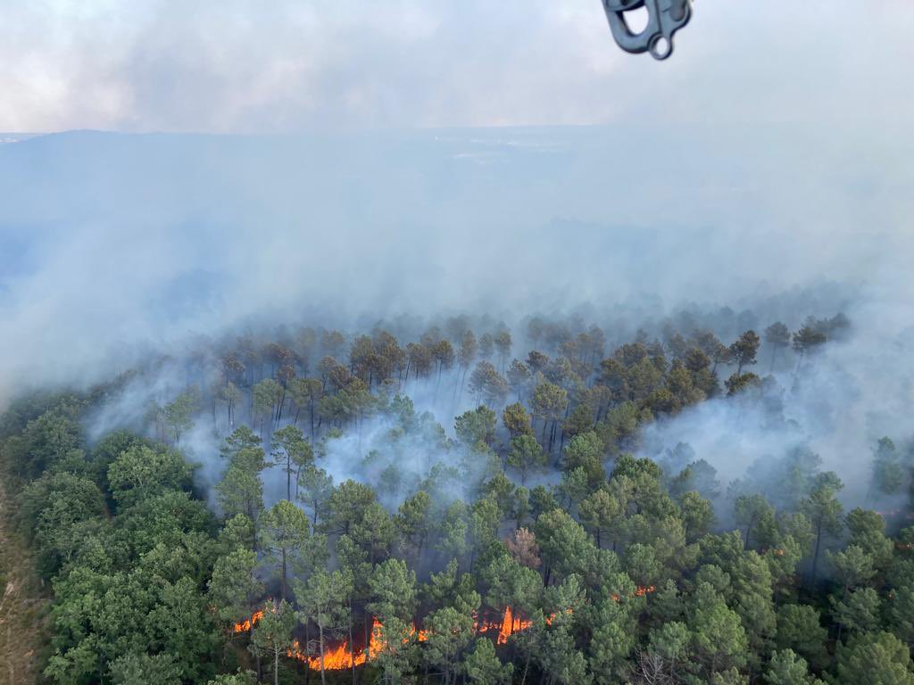 Incendies: 60 bungalows et 185 hectares partis en fumée dans le Gard