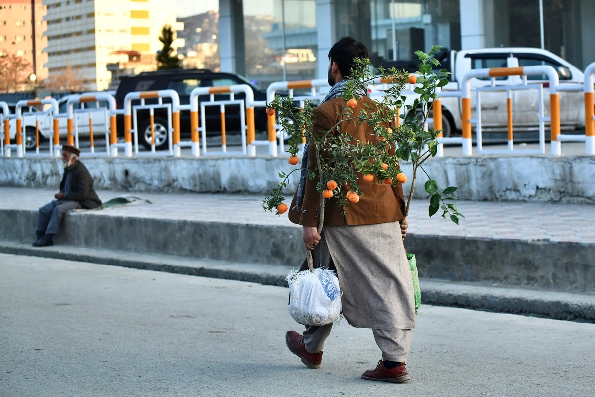 Afghanistan: un mort, sept blessés dans un attentat contre une mosquée