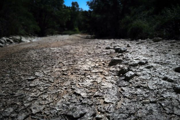 La France passe le pic de la canicule en dépassant les 40 °C dans le Sud-Ouest