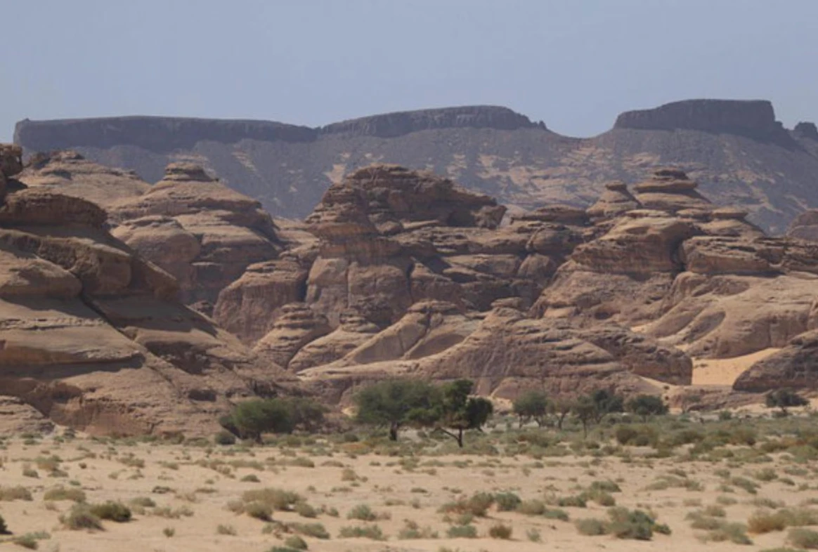 Harrat Uwayrid: Une réserve saoudienne rejoint le programme environnemental de l'Unesco