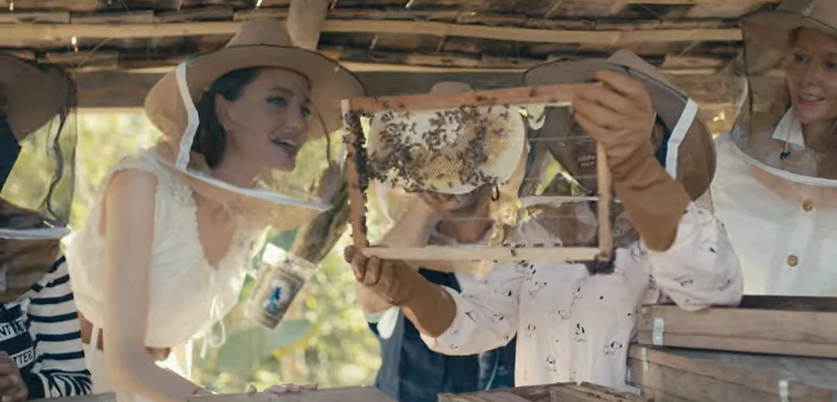 Angelina Jolie, marraine des «femmes pour les abeilles 2022 au Cambodge»