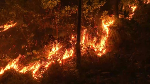 L'incendie des Cévennes fixé, dispositif allégé pour la nuit