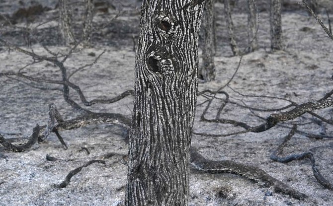 La lutte contre le changement climatique
