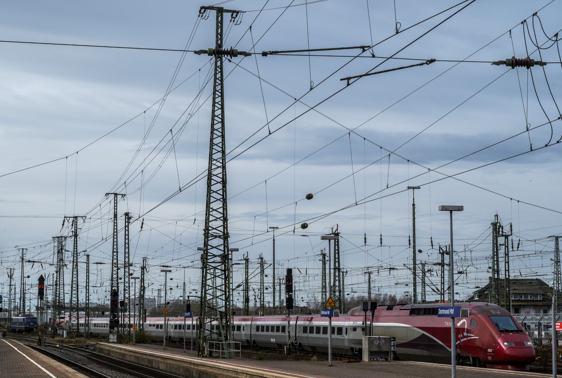 Thalys: chaos dans les gares après le heurt d'un animal
