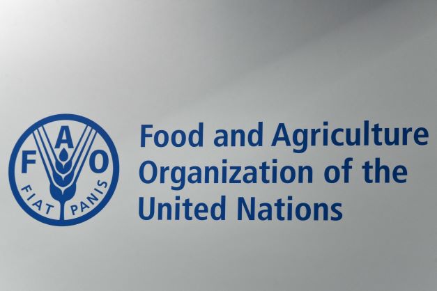 FAO: les indicateurs de la sous-alimentation virent au rouge pour le Maroc