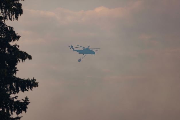 Allemagne: plusieurs évacuations après des feux de forêt