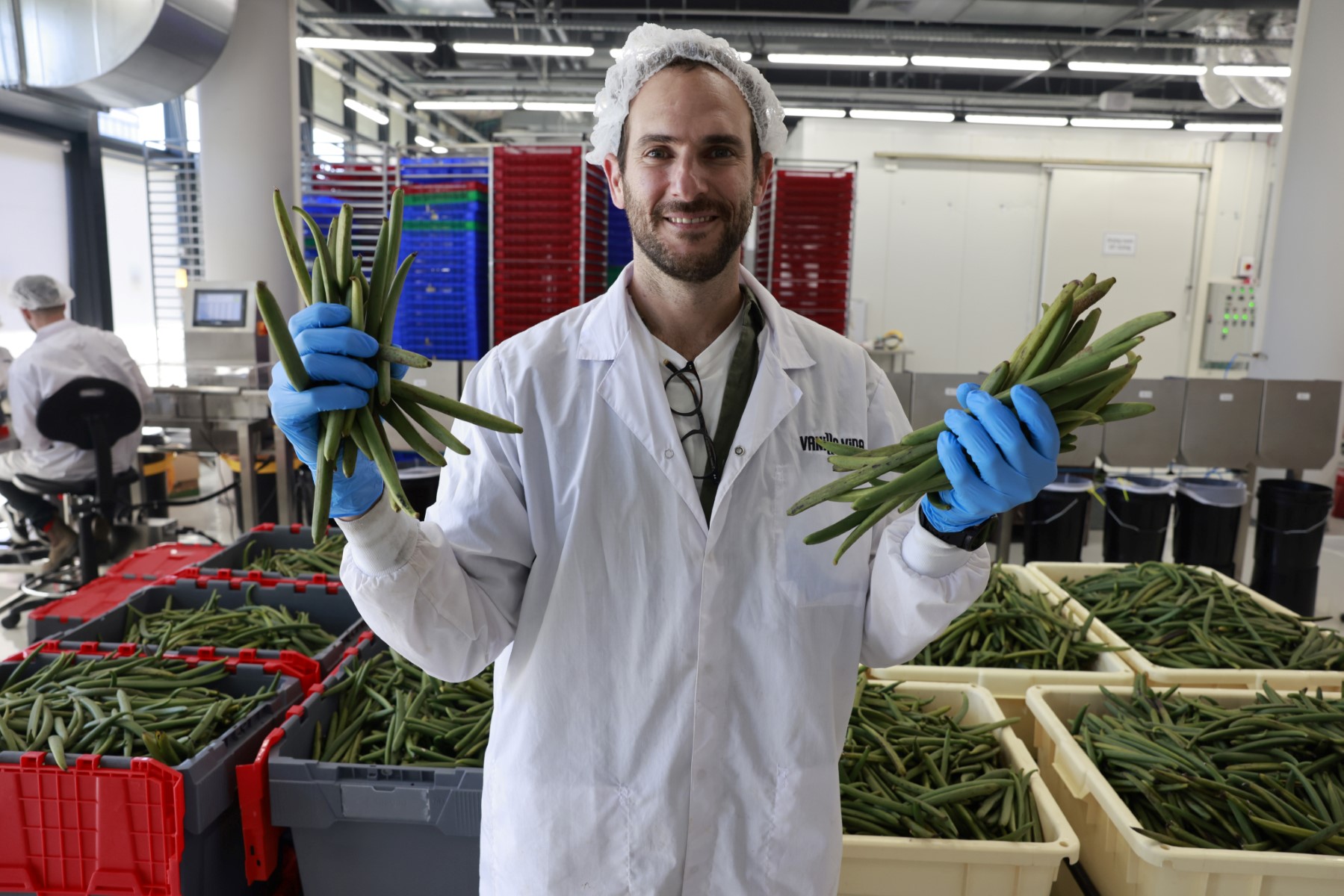 En Israël, la technoscience au service de la maturation de la vanille
