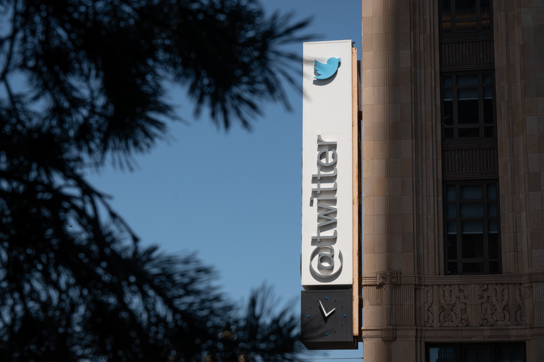 L'avenir sombre de Twitter, jouet rejeté par Elon Musk