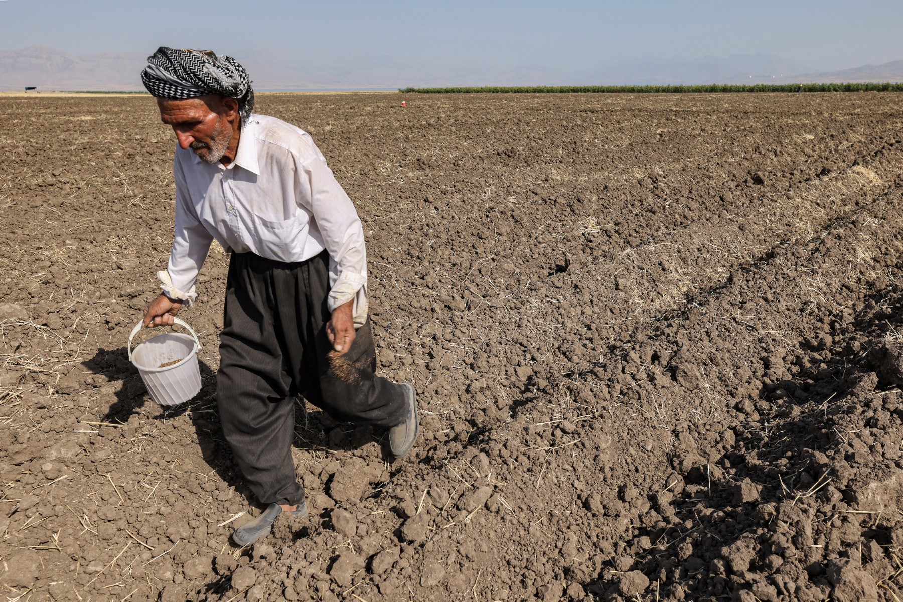 Au Kurdistan d'Irak, le lac Dukan a soif et les agriculteurs transpirent