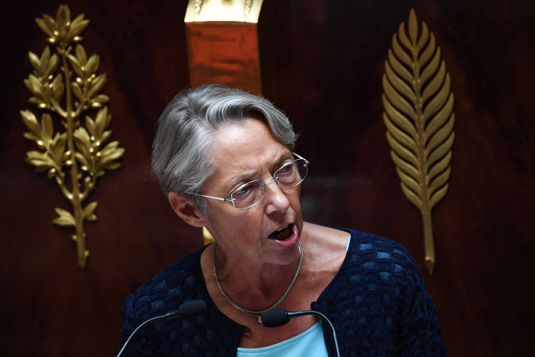 Borne mobilise les ministres en vue de la vague de chaleur