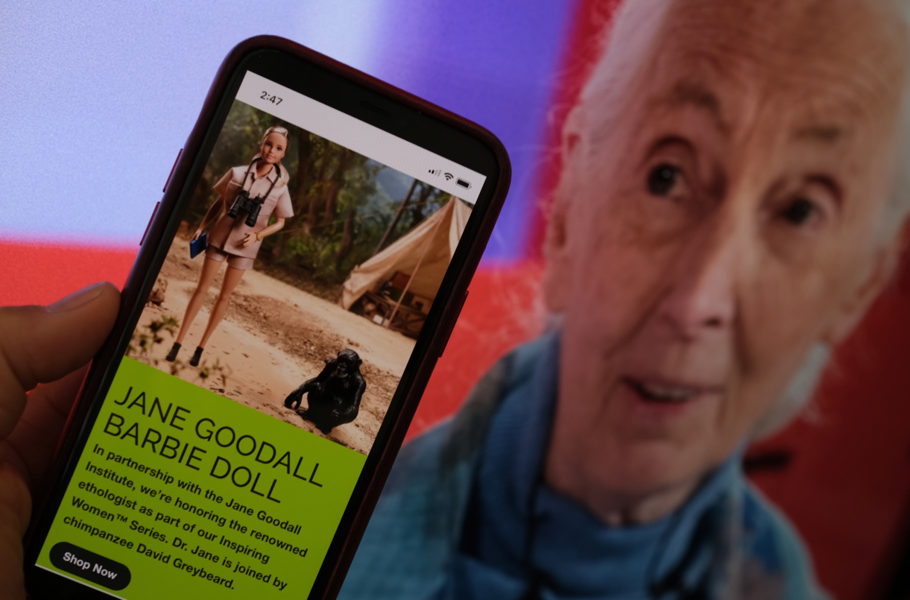 La primatologue Jane Goodall a une poupée barbie à son effigie
