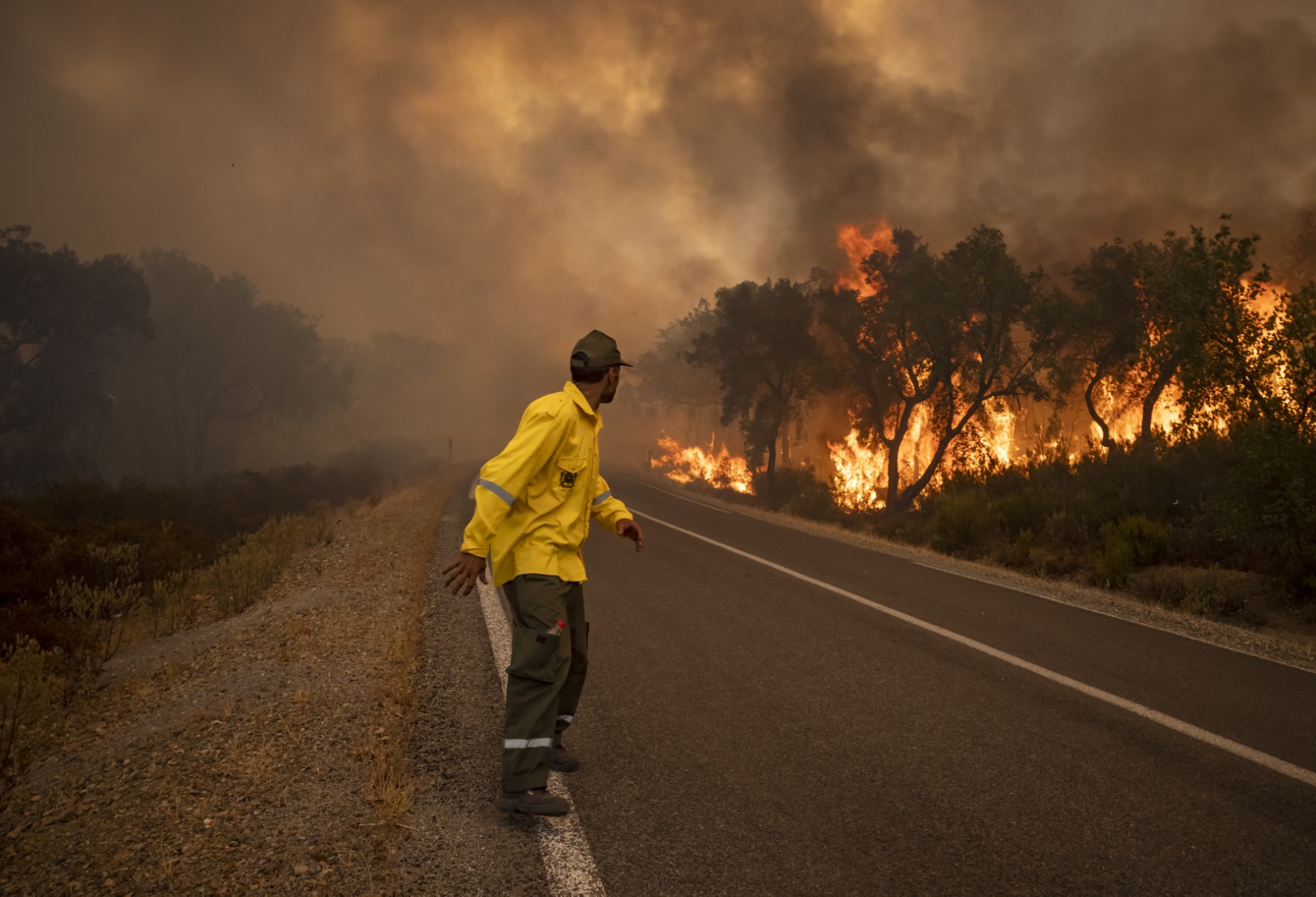 Maroc: Des renforts pompiers et militaires pour maîtriser les feux de forêt