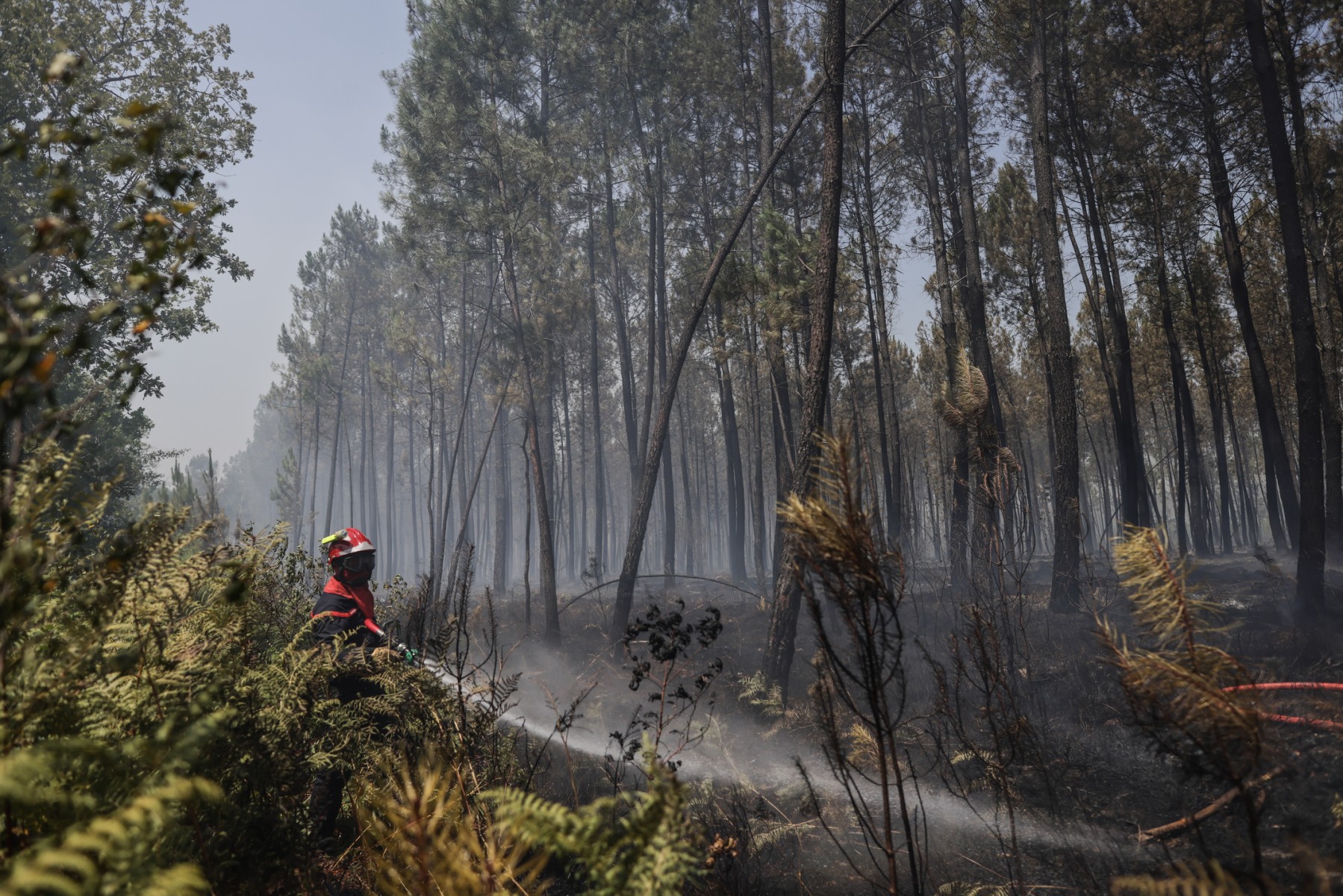 Le brasier repart en Gironde, «apocalypse de chaleur» lundi dans l'Ouest
