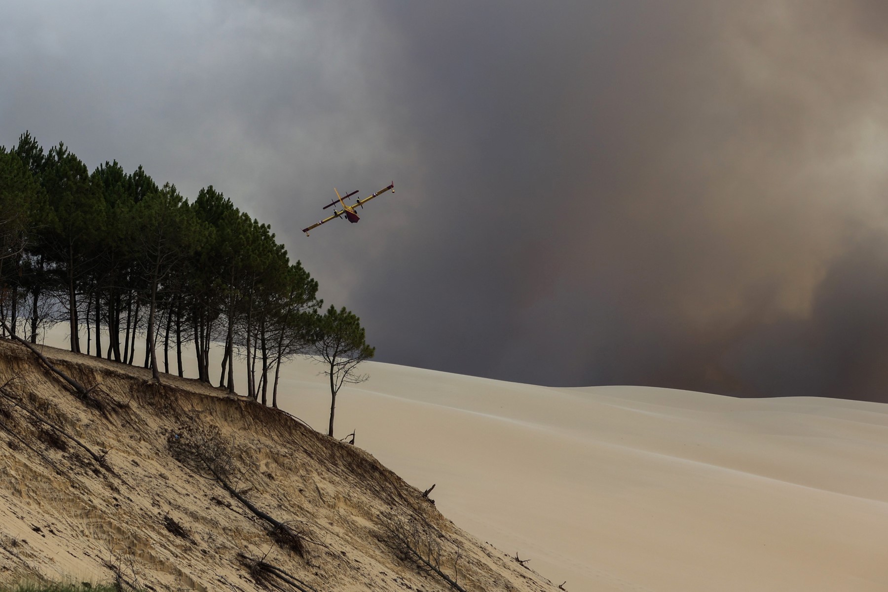 Incendies en Gironde: plus de 19 000 hectares brûlés, les fumées sur Bordeaux