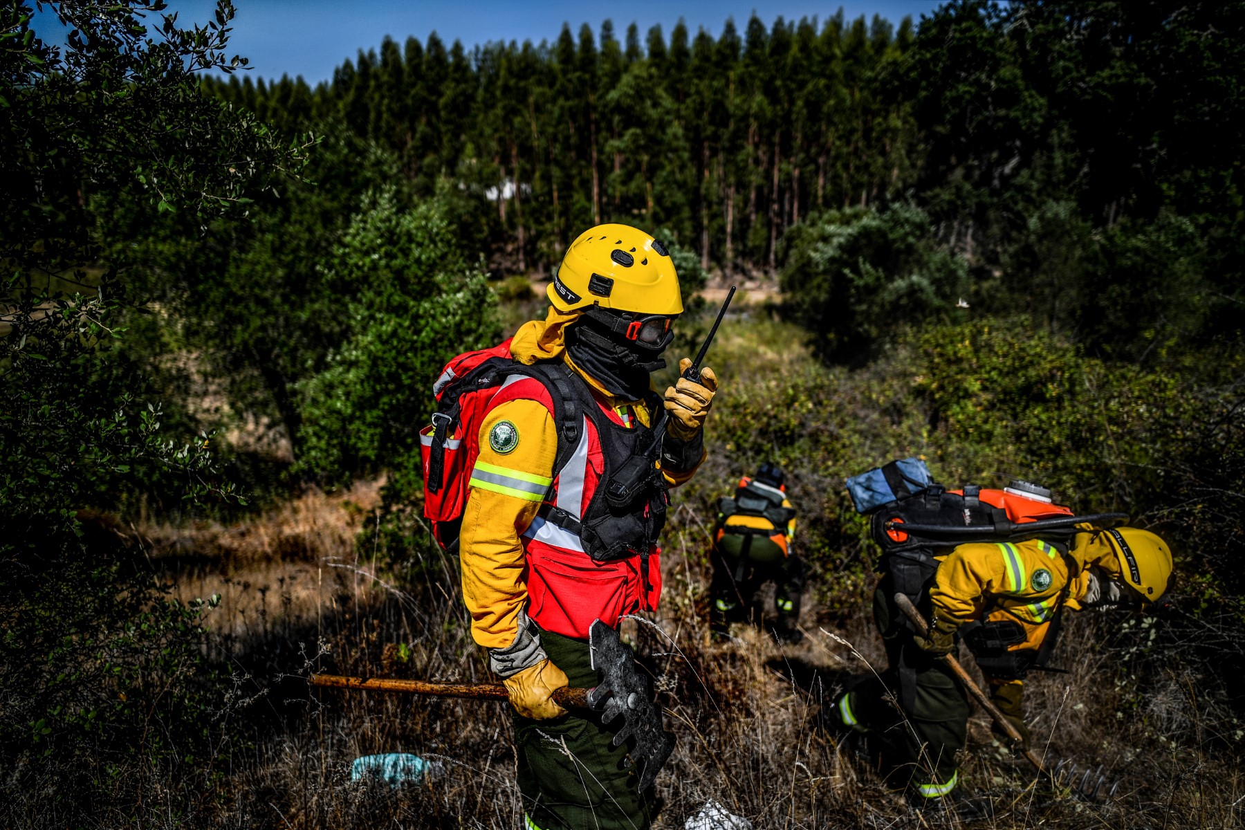 En Espagne et au Portugal, des forêts délaissées à la merci des incendies