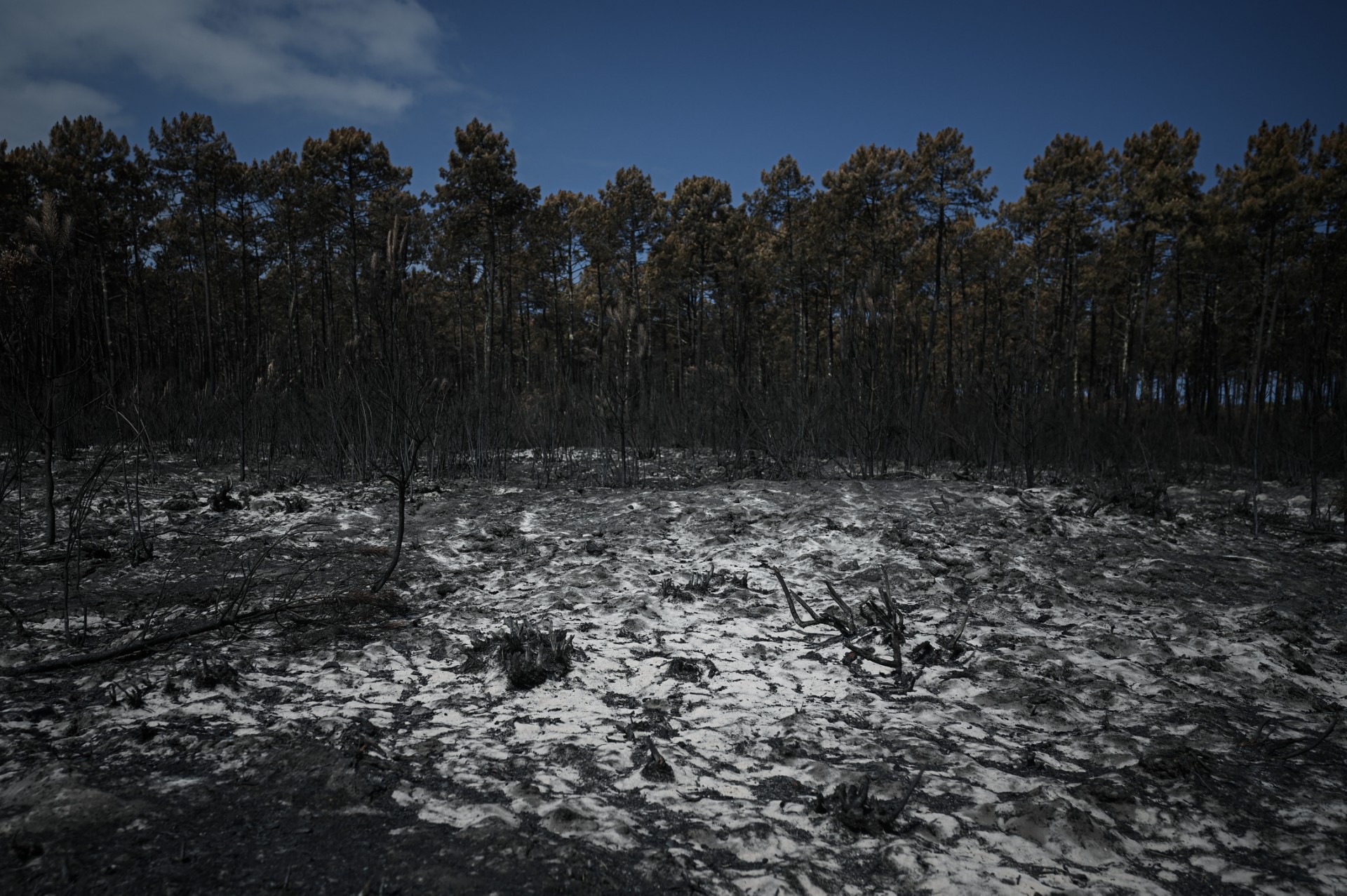 En Gironde, la situation continue à s'améliorer sur le front des incendies