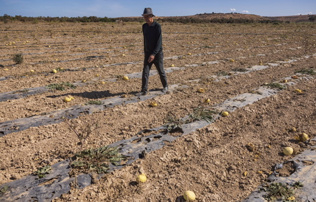 Maroc: L’économie «fortement impactée» par la guerre en Ukraine