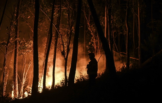Le Portugal en proie à la canicule et aux feux de forêt