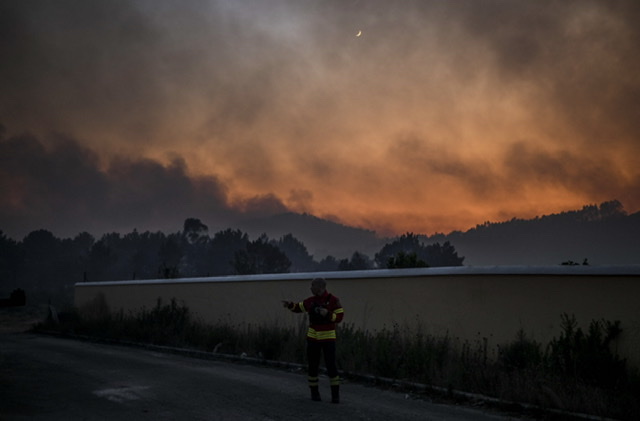 Le Portugal combat de nouveaux feux de forêt favorisés par le retour de la chaleur