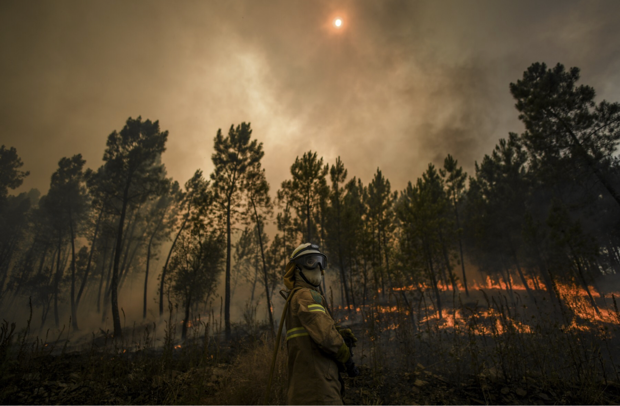 Violente reprise des feux de forêt dans le centre du Portugal