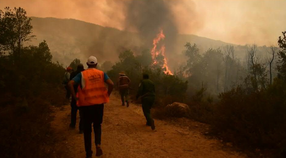 Maroc: Un villageois mis en examen après un incendie dévastateur