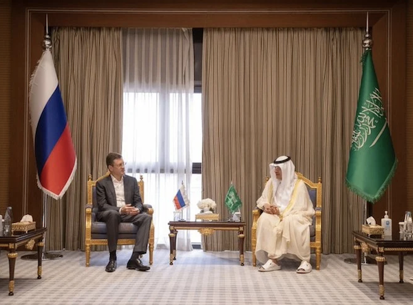 Les deux hommes ont discuté des possibilités de coopération entre leurs pays (@MoEnergy_Saudi/Twitter)