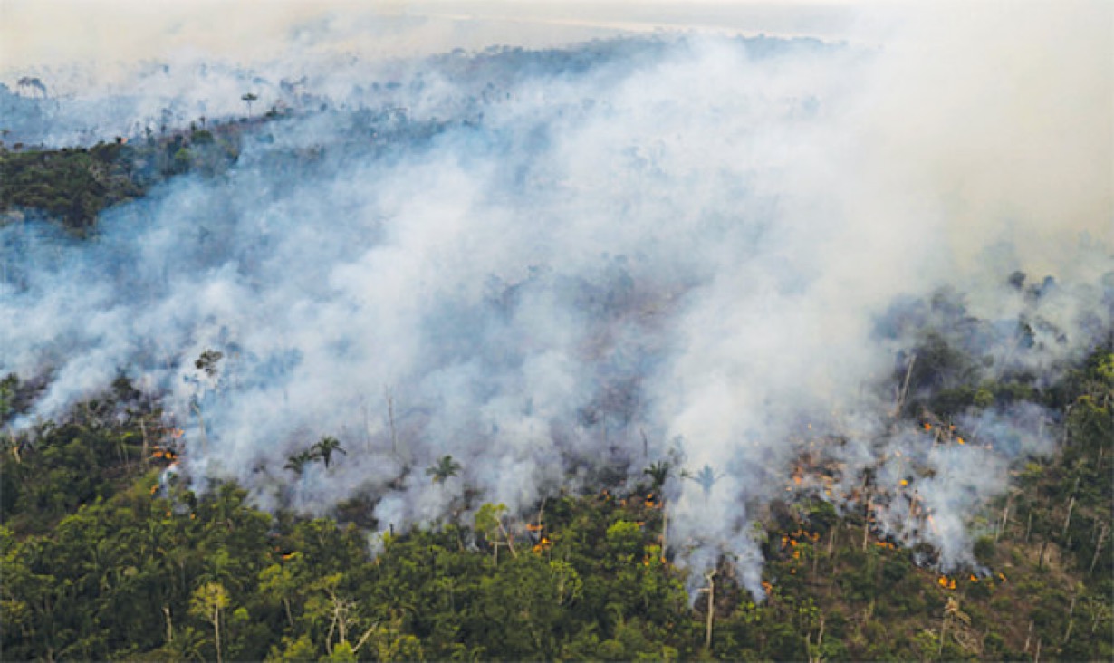 Amazonie: Des tonnes de déchets polluent les eaux de Manaus