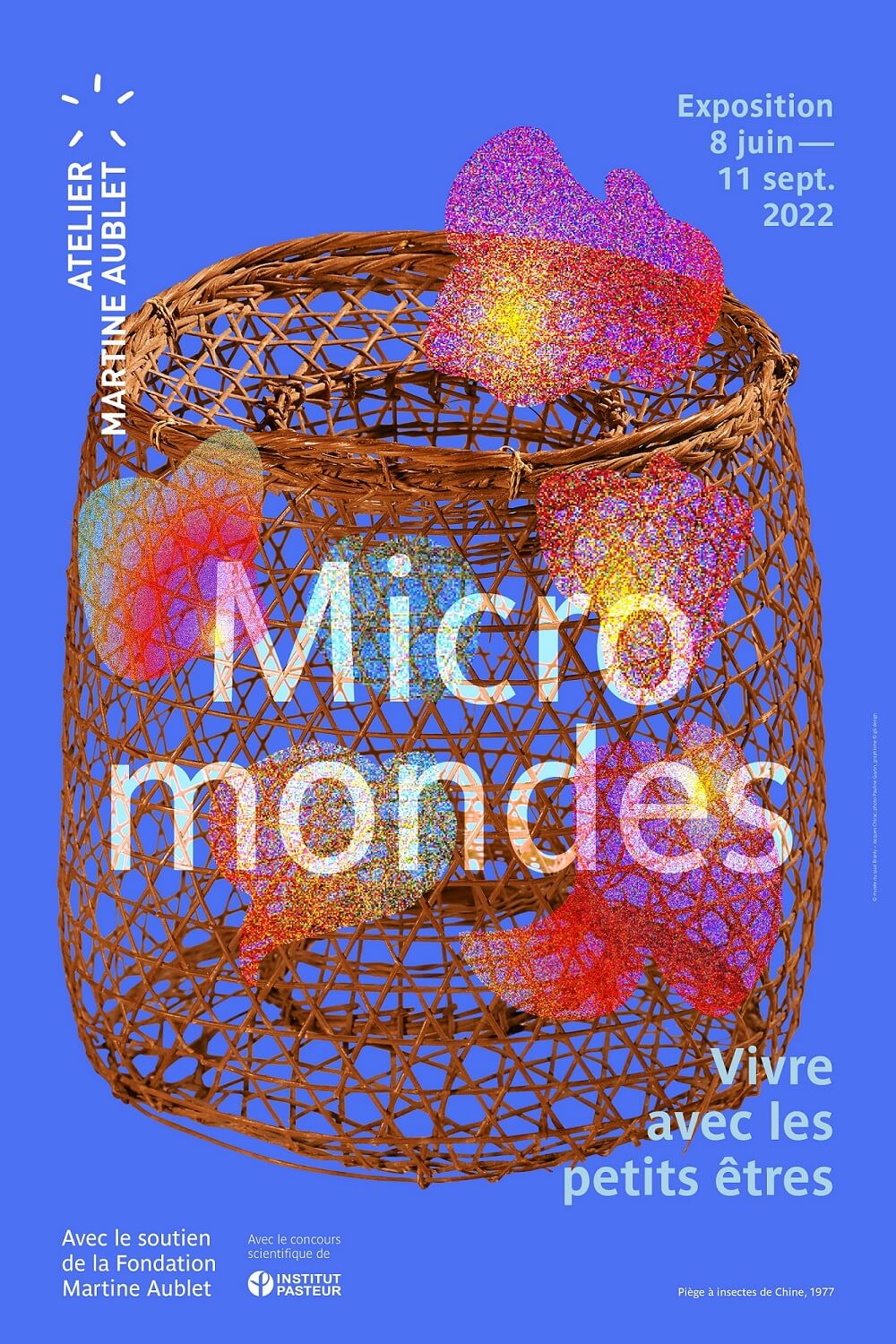 Micro Mondes, une exposition au musée du quai Branly
