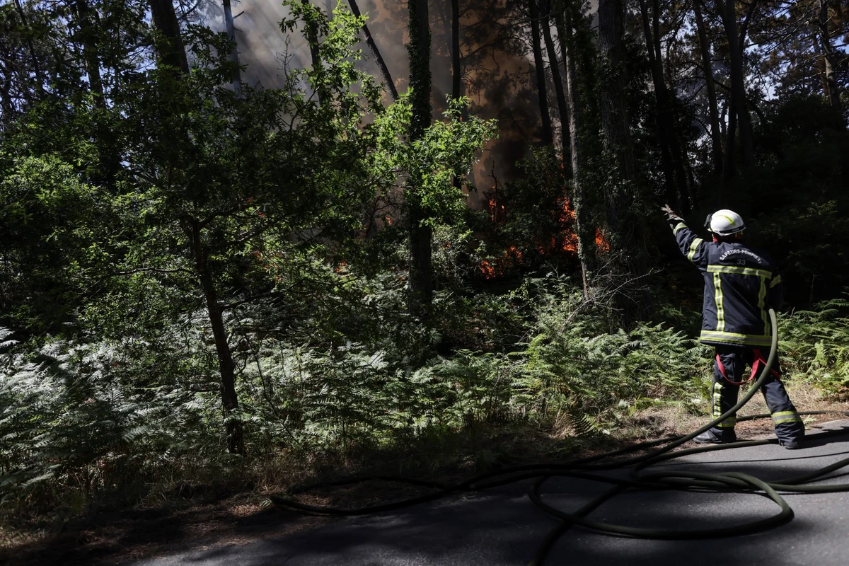 Nouvel épisode caniculaire en France, 2 700 hectares de forêts dévorés en Gironde